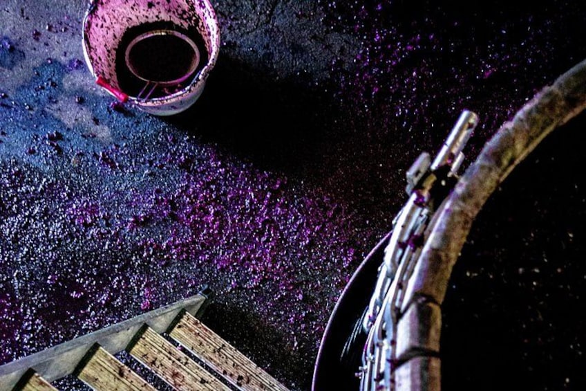 A bicycle wheel, a wooden surface, and a pink container with a dark liquid. 4