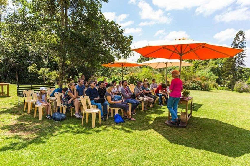 A group of people seated outdoors on chairs, with a person standing and speaking to them under a large umbrella. 1