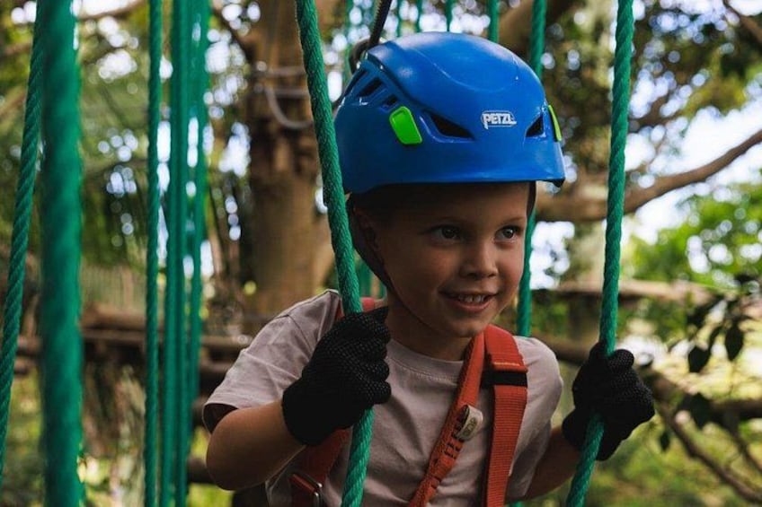 Launceston Hollybank Junior Tree Ropes Course 4