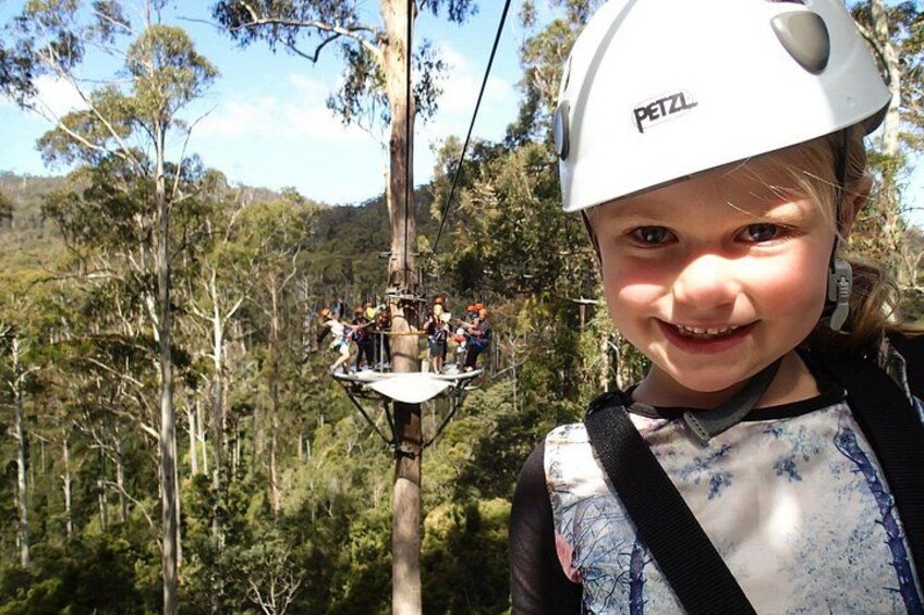 Launceston Hollybank Junior Tree Ropes Course 2
