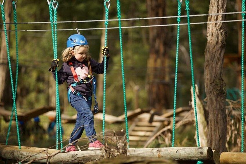 Launceston Hollybank Junior Tree Ropes Course 1
