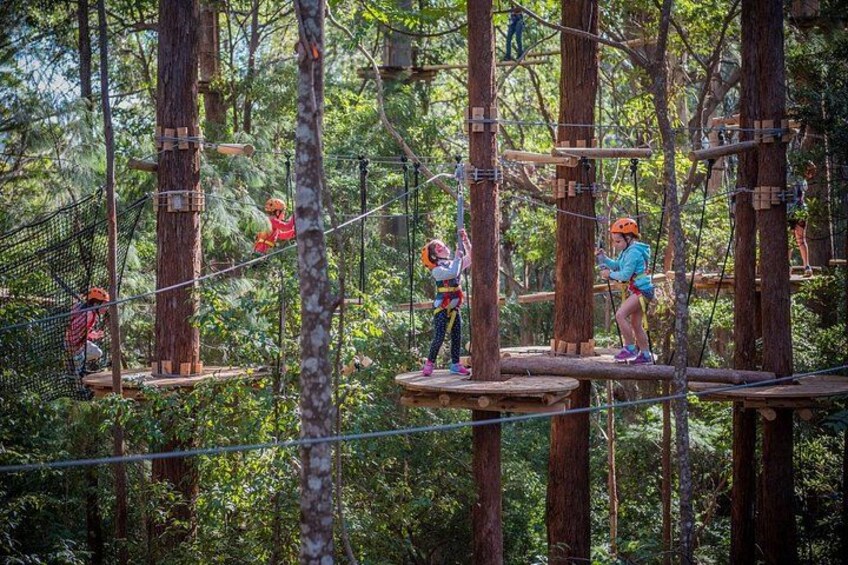 Launceston Hollybank Junior Tree Ropes Course 3