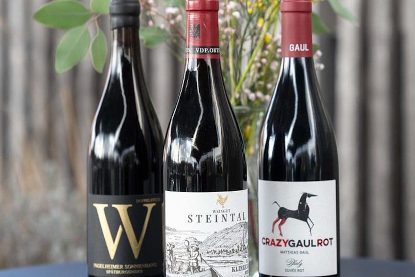 Tasting with regional wines 1