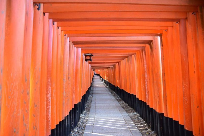 En korridor kantet med orange torii-porte. 1