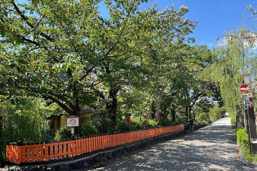 A tree-lined street with a red fence, a no parking sign, and a clear blue sky. 3