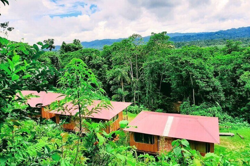 Amazon tours from Cusco (3 days). 5