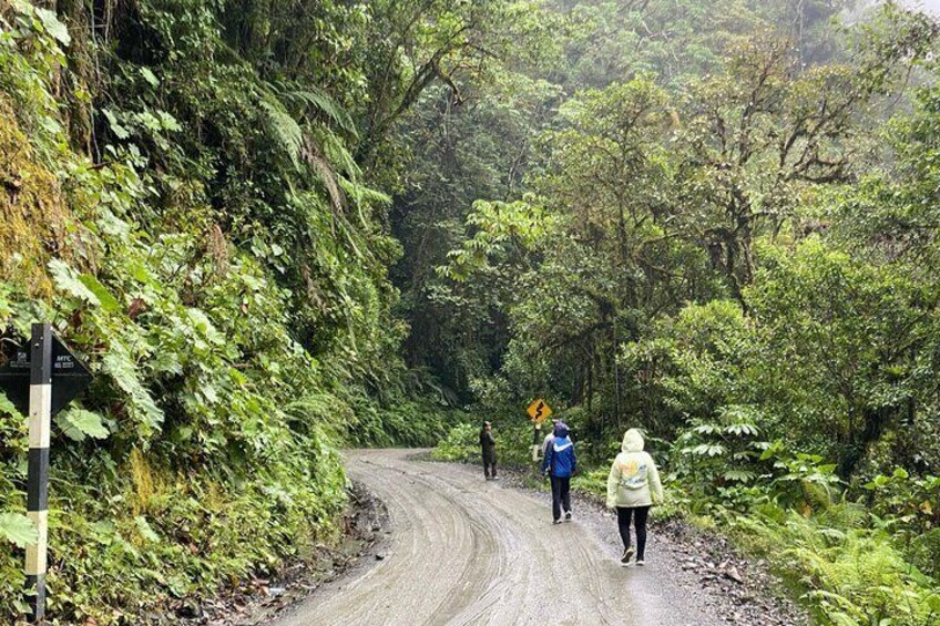 Amazon tours from Cusco (3 days). 3