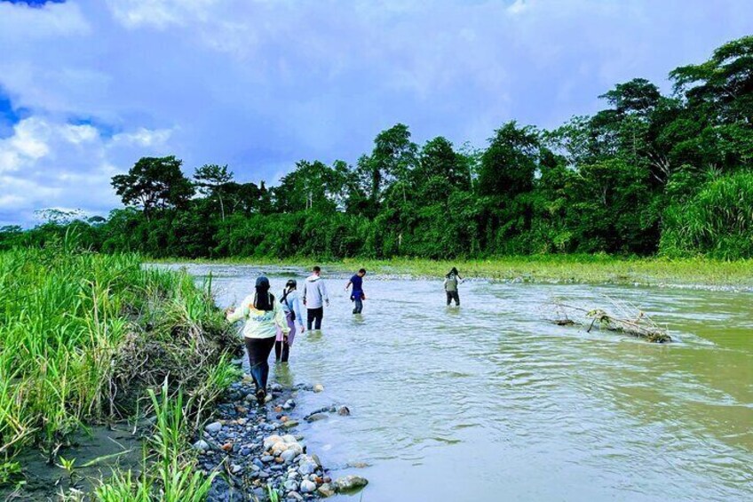 Amazon tours from Cusco (3 days). 4