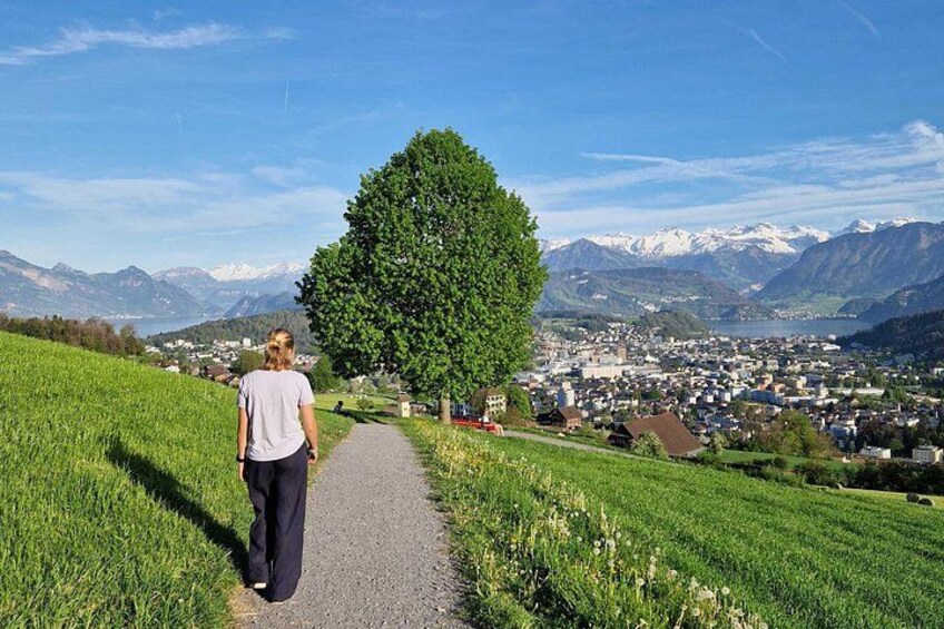 Una persona che cammina su un sentiero, con un albero a sinistra, una città sullo sfondo e montagne in lontananza. 3