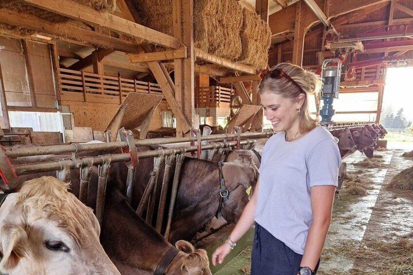 Lucerne Farms and Cheese Tasting Tour 1