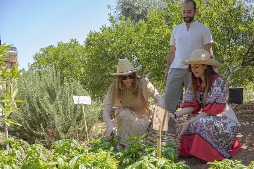 Sicilian Picnic in a Country House 4