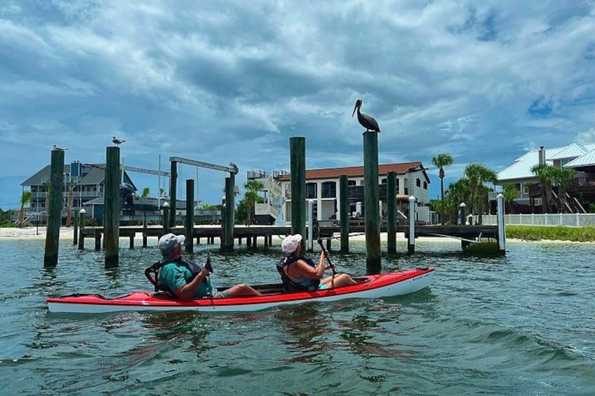 Pensacola Beach Kayak Tour 5