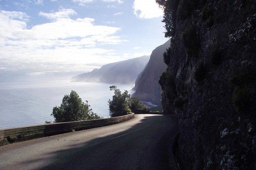 A coastal road with a guardrail, trees, and a mountainous backdrop. 3