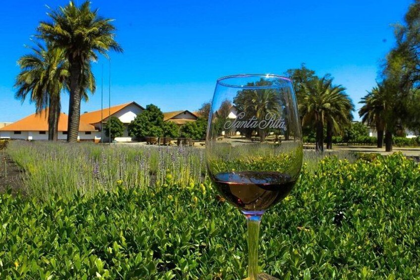 A glass of red wine on grass with a house and palm trees in the background. 4