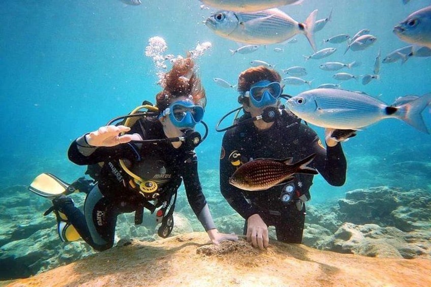 Two scuba divers underwater holding fish, surrounded by a school of fish. 2