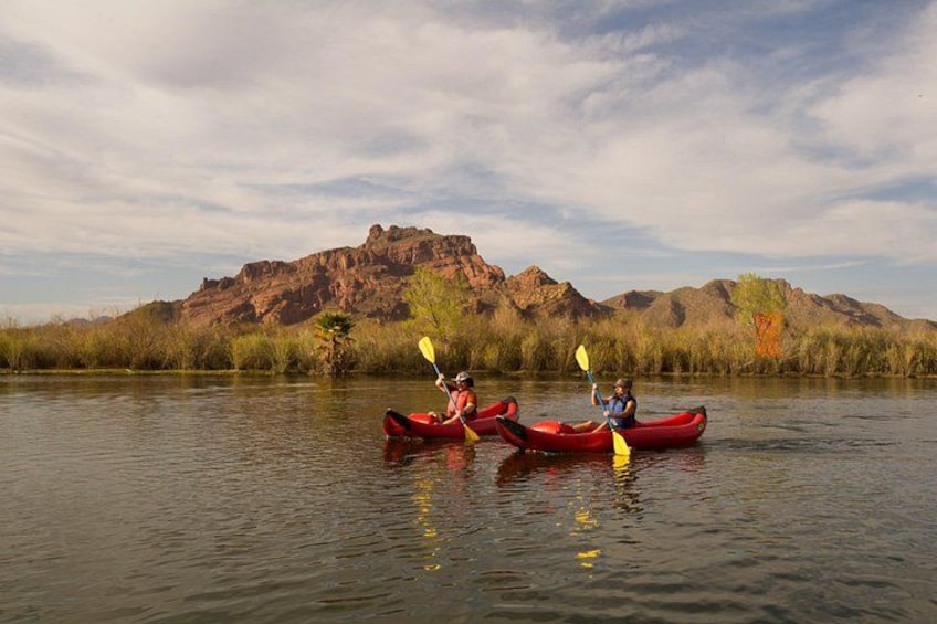 Lower Salt River Guided Kayak Tours 5
