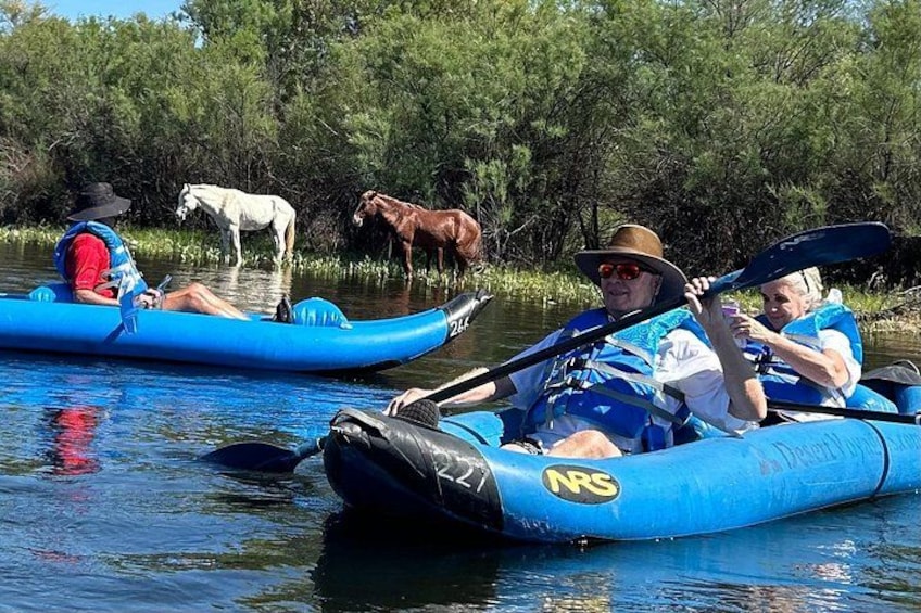 Lower Salt River Guided Kayak Tours 3