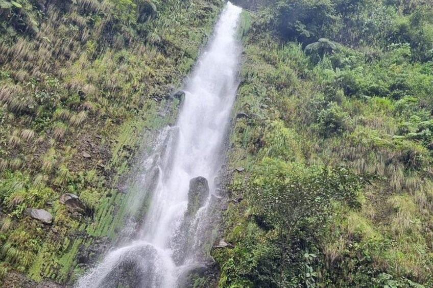Colibri Waterfall 5