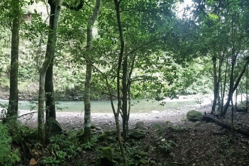Natural swimming pools 2