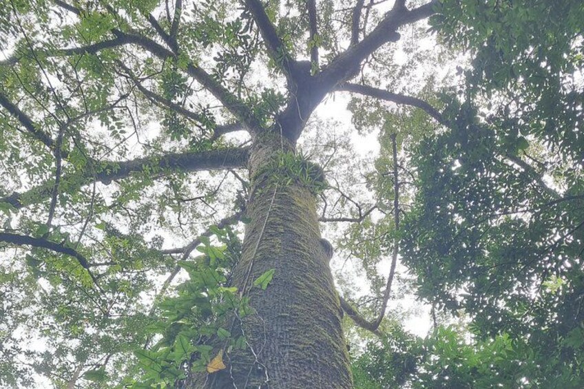 Nature in its glory 1