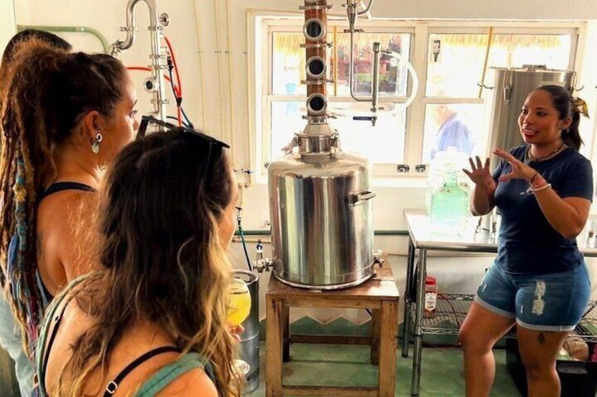 Cozumel's First Distillery: Exclusive Craft Rum & Gin Tasting 2