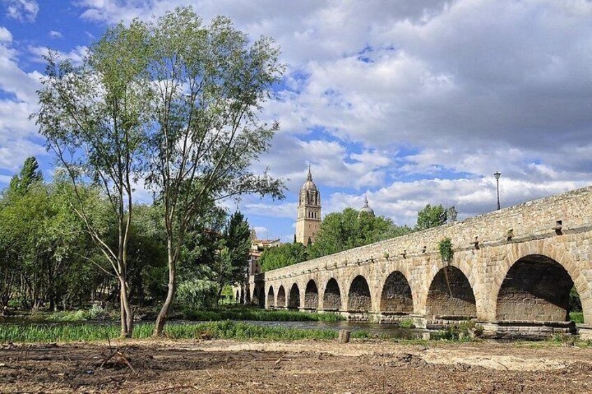 A stone bridge with multiple arches, a tower in the background, and trees in the foreground. 3