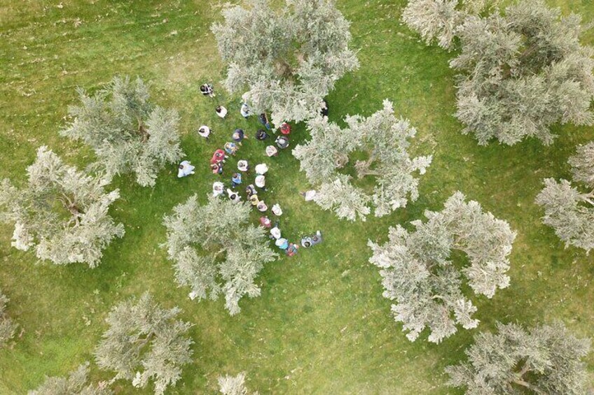An aerial view of a group of people gathered in a circle on a grassy field surrounded by trees. 1