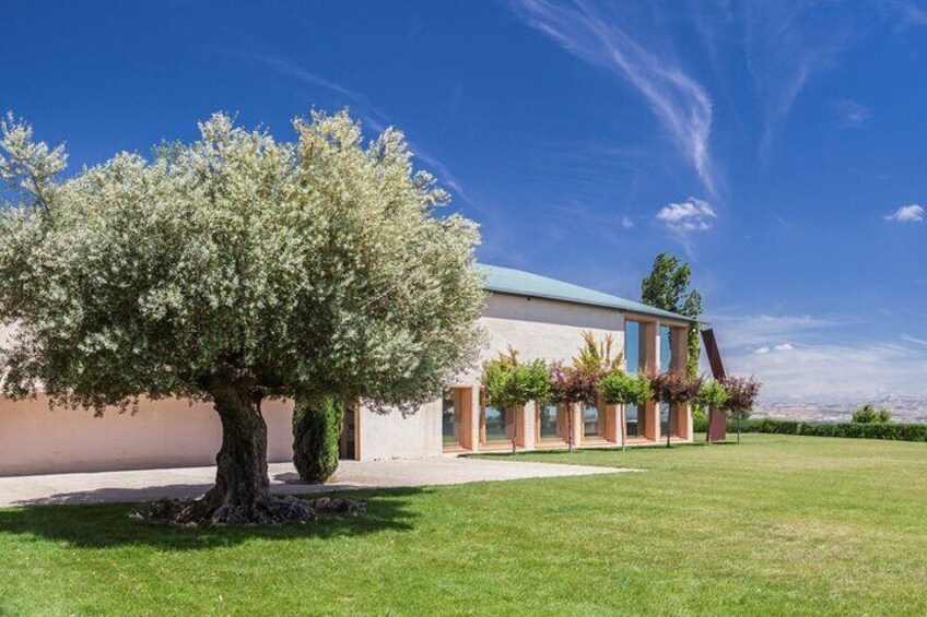 A building with a large tree in front, a clear blue sky, and a well-maintained lawn. 5