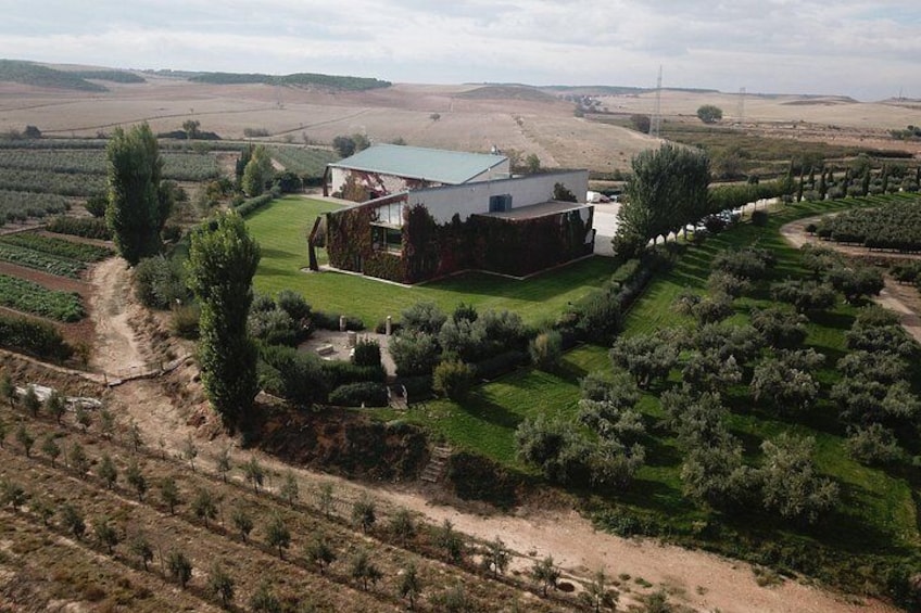Oleotourism Navarre. Private tour and tasting Eco-friendly EVOO Artajo 2