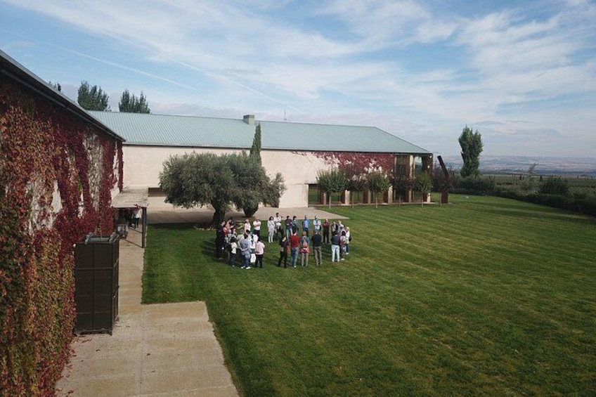 Oleotourism Navarre. Private tour and tasting Eco-friendly EVOO Artajo 3
