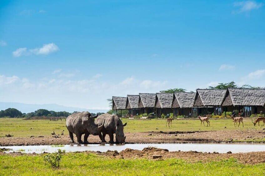 Une réserve naturelle où l’on peut observer des éléphants près d’un point d’eau, entourée de huttes aux toits de chaume. 5