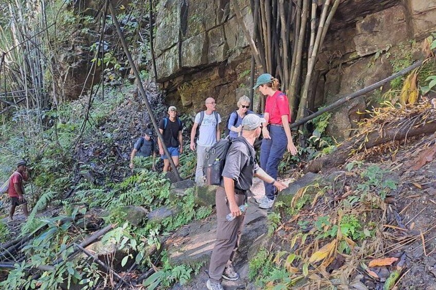 A group of hikers on a rocky trail surrounded by dense vegetation. 3