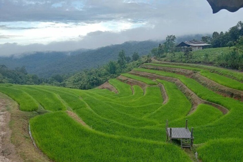 Terraced rice fields, a small wooden structure, and a house in a hilly landscape. 5