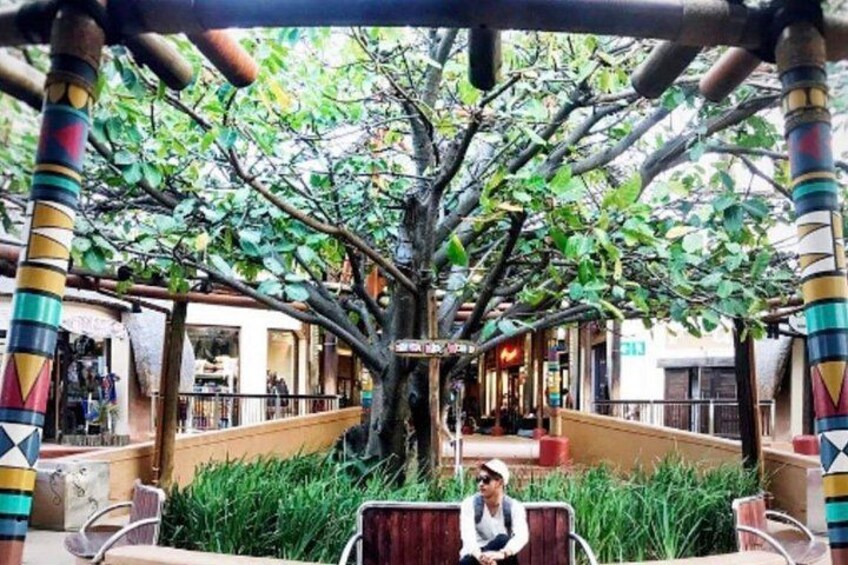 A person sitting on a bench under a tree in an outdoor area with a railing and a building in the background. 3