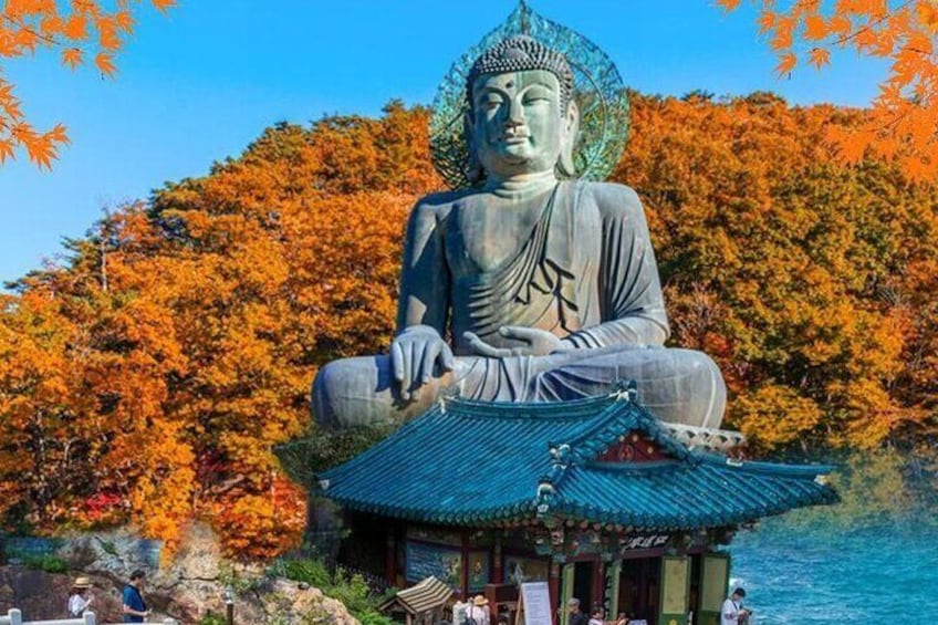 Mt.Seorak & Naksan Temple Day Trip from Seoul 1