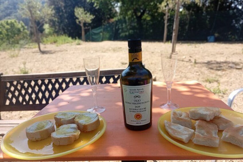 Olive grove tour with wine and oil tasting of the Cinque Terre 2