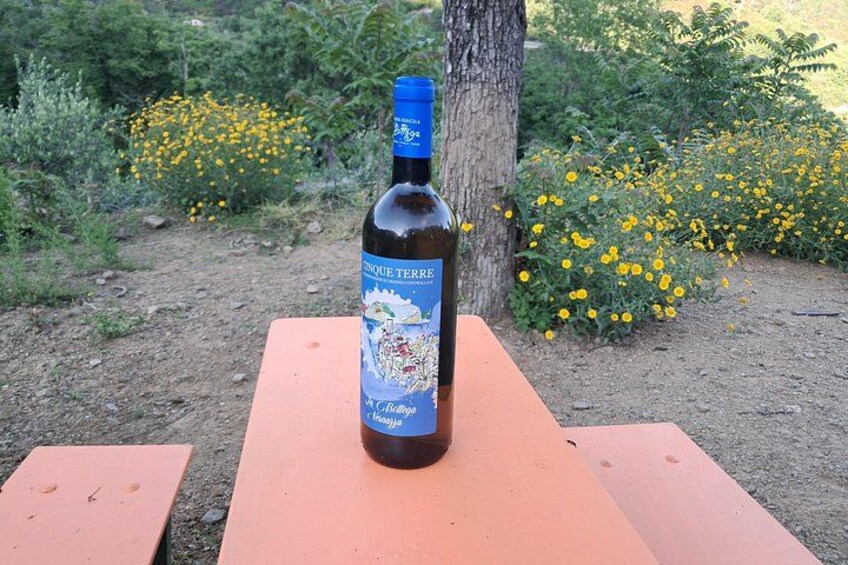 Our wine from the Azienda Agricola la Bottega Cinque Terre DOC 3