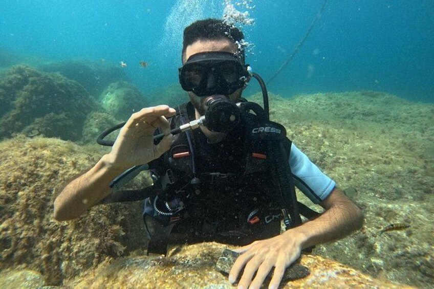 Full-Day Scuba Diving Tour from Chefchaouen to the Mediterranean 5