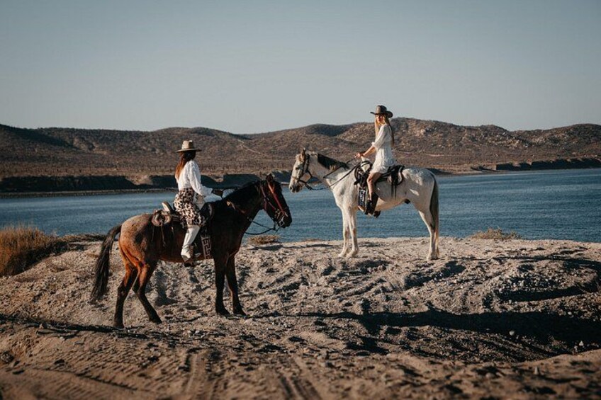 Beach and Desert Scenic Horseback Ride in Baja California Sur 1