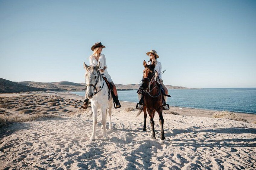 Beach and Desert Scenic Horseback Ride in Baja California Sur 5
