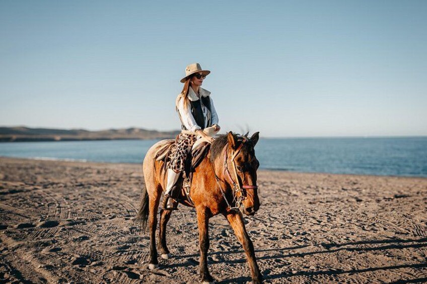 Beach and Desert Scenic Horseback Ride in Baja California Sur 3