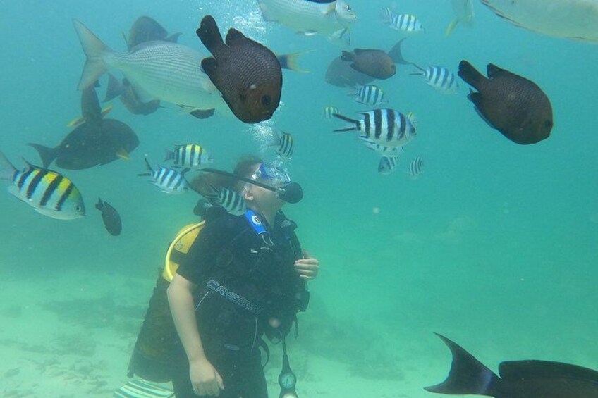 Experience the underwater Magic in the Mombasa Marine Park 1