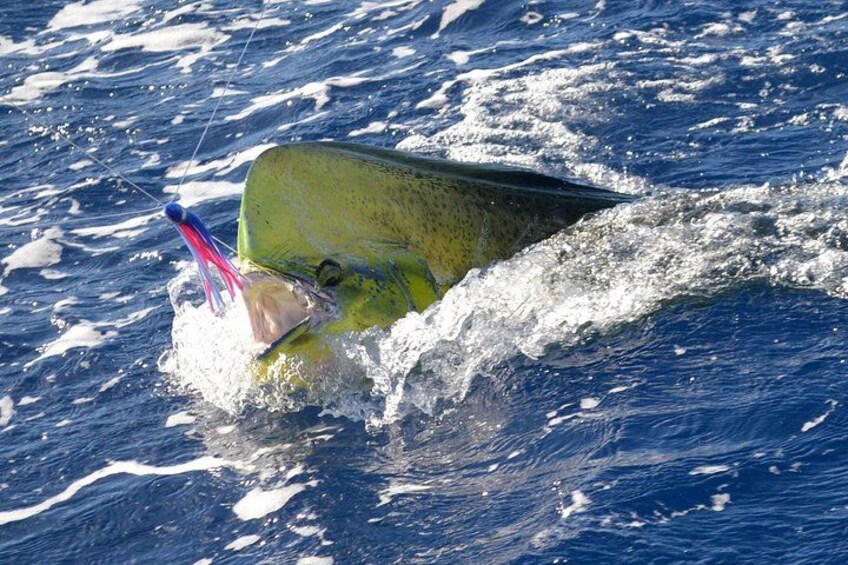 Private Grand Baie Mauritius Fishing Experience Tour 5