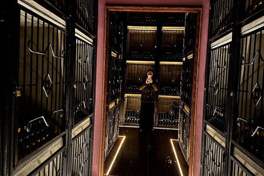 A person in a dark coat standing in a narrow, ornate hallway with metal railings and a patterned floor. 5