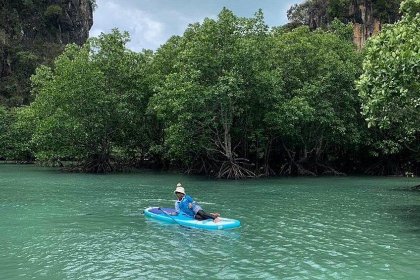 Una persona practica kayak en un río tranquilo rodeado de densos manglares. 5
