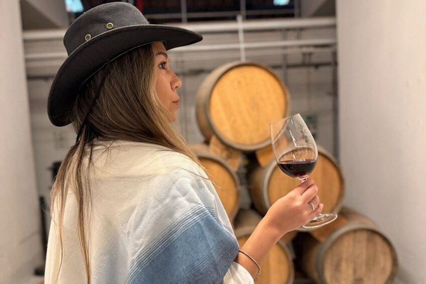Mendoza: Become Gaucho in The Enemy, Casarena and Bonfanti 3