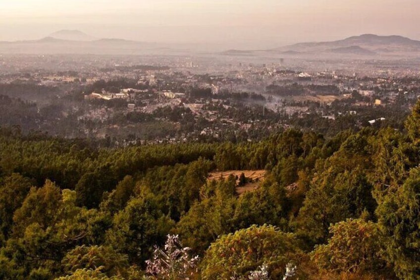 Un paisaje urbano con una zona boscosa al frente y montañas a lo lejos. 3