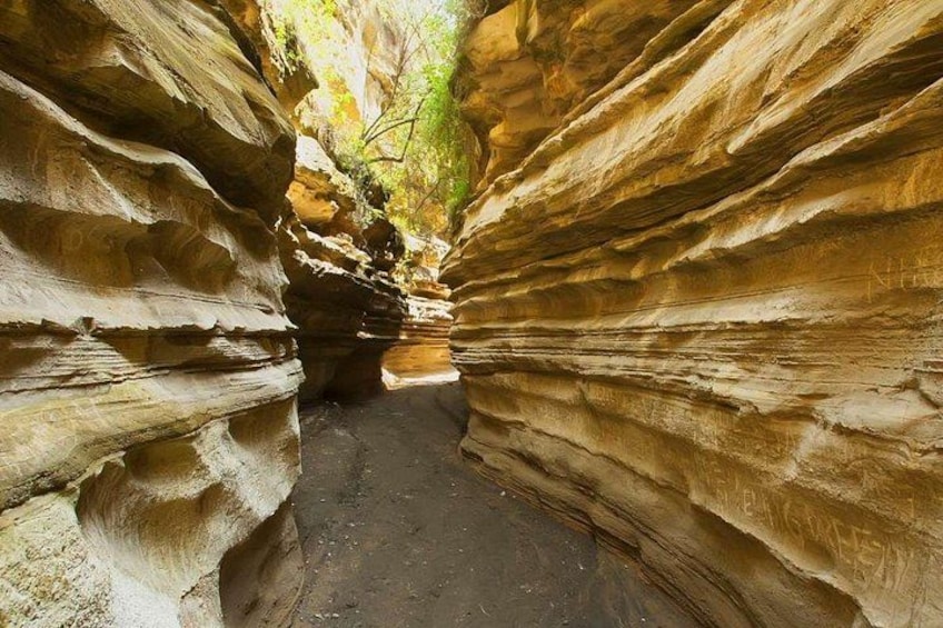 Un canyon étroit aux parois rocheuses stratifiées, avec un sentier de terre. 3