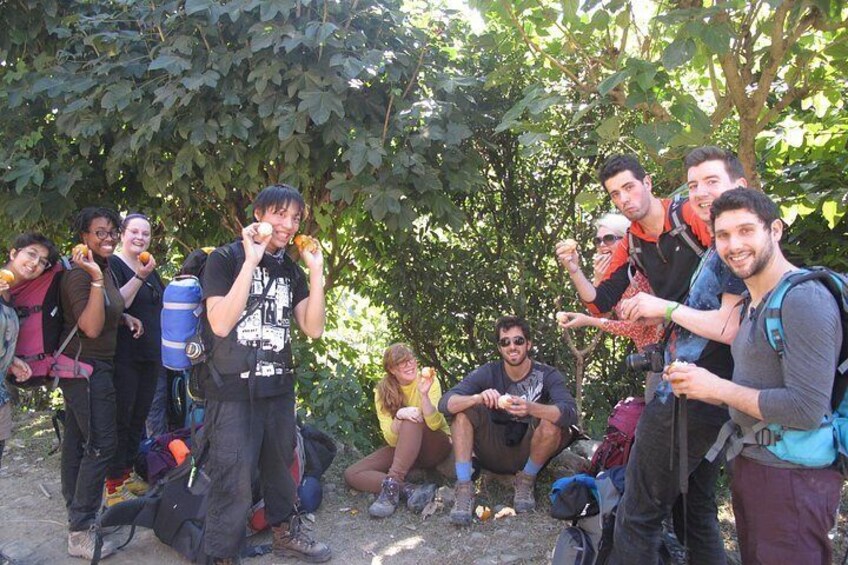 A group of people outdoors, some with backpacks, in a natural setting with trees. 2