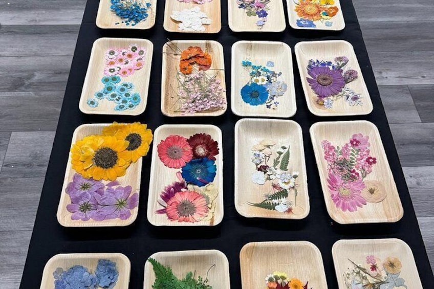 Philadelphia: Pressed Flower Art Workshop 2